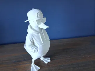 Cool Ducky