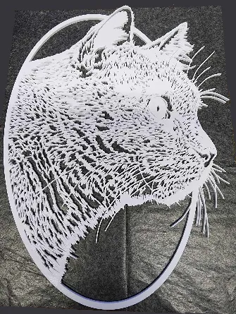 Cat Portrait In An Oval