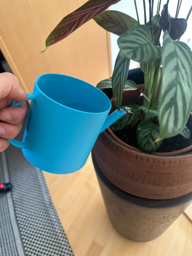 Watering Can