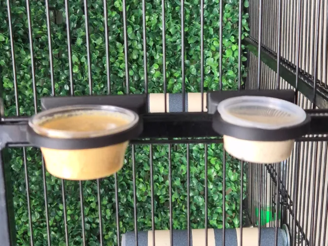 Adjustable Cage Food Bowl Holder – Sugar Glider 