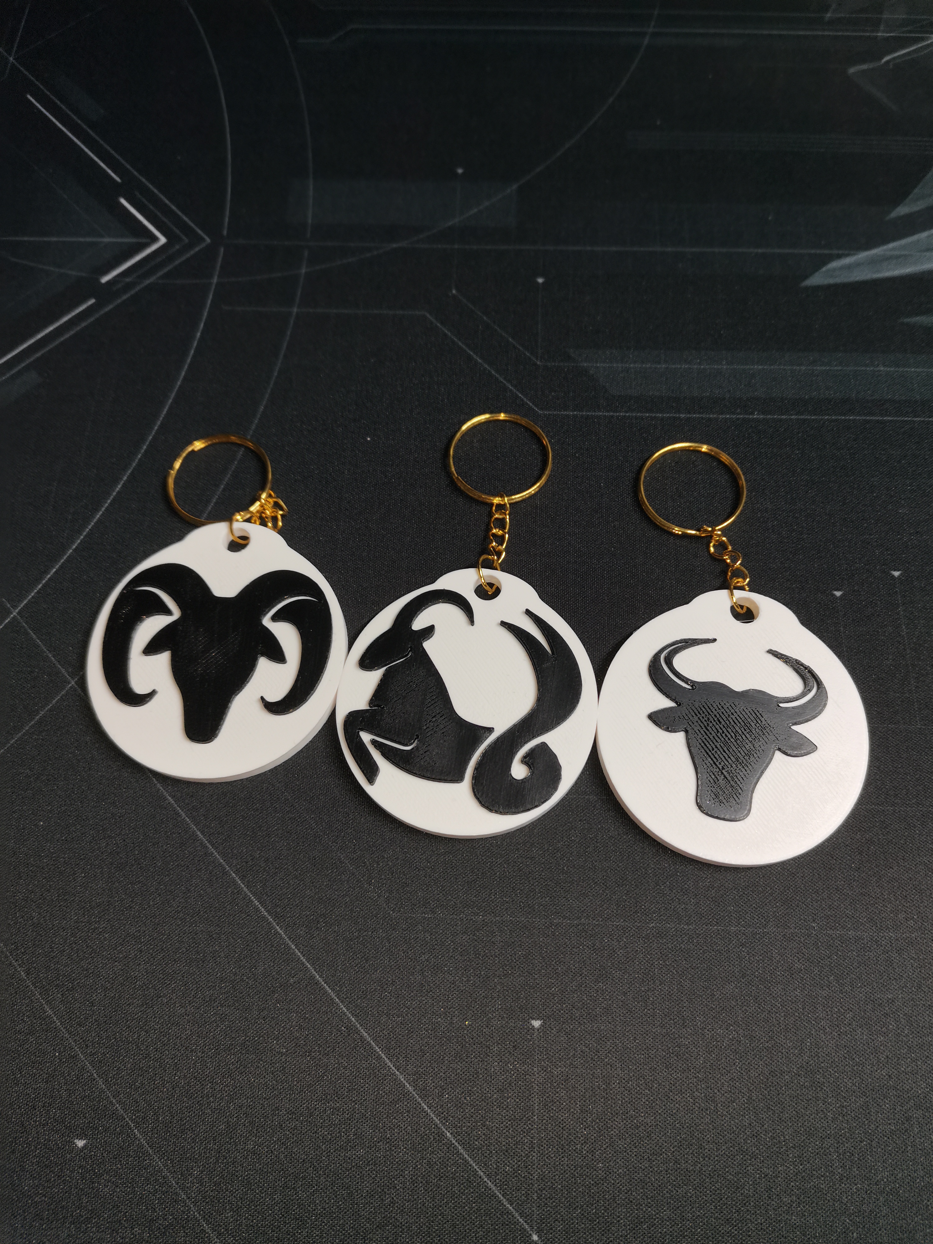 Miniatura 2 do modelo 3D Zodiac NFC Keychains