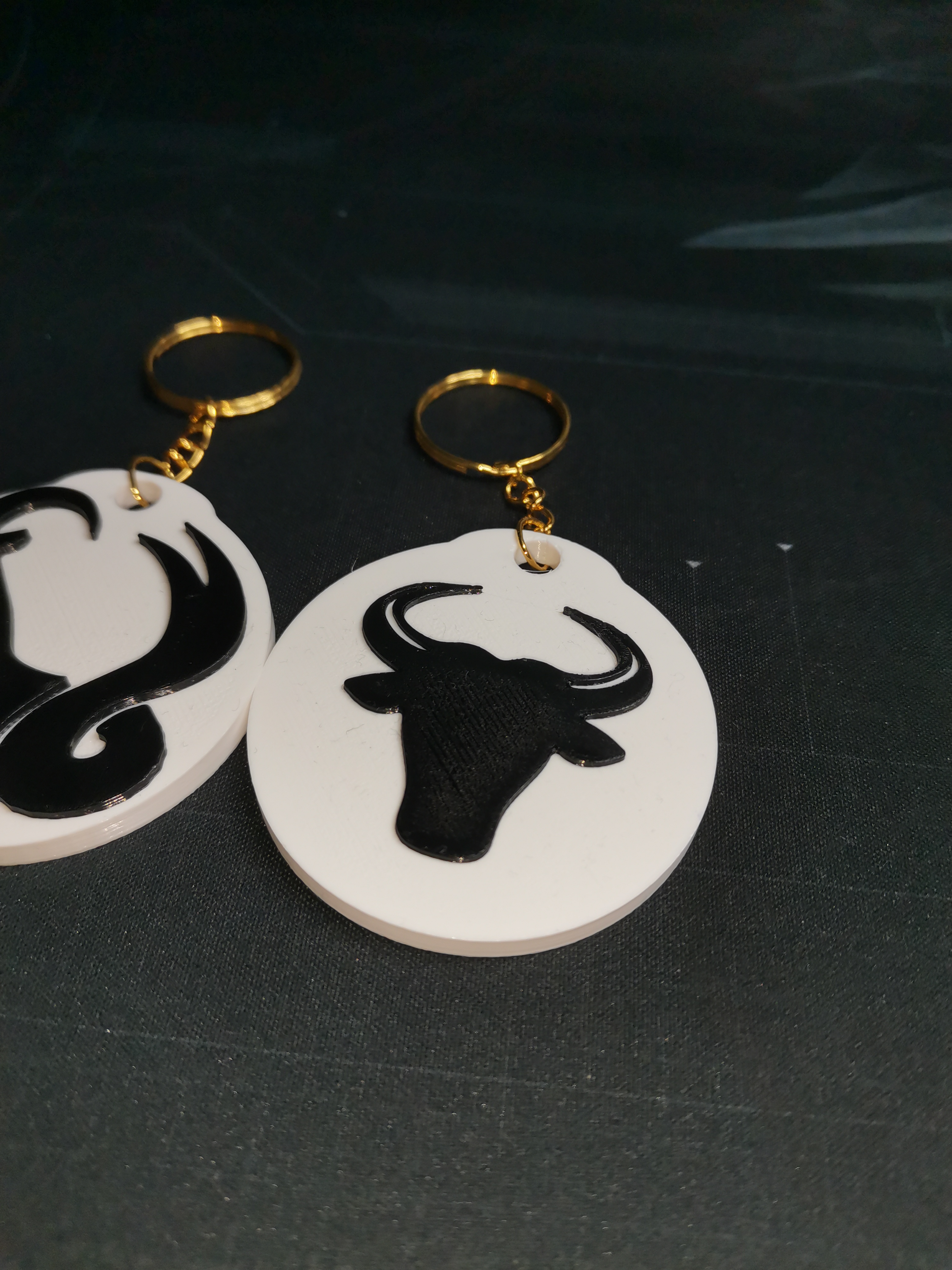 Miniatura 5 do modelo 3D Zodiac NFC Keychains