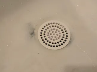 Drain screen (hair catcher)