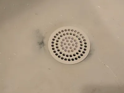Drain screen (hair catcher)