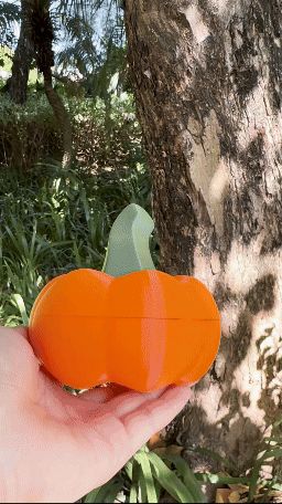 https://makerworld.bblmw.com/makerworld/model/UScdc3123a3c74ca/design/2024-10-14_027d2a5103ebc.gif