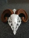 Colored Horns
