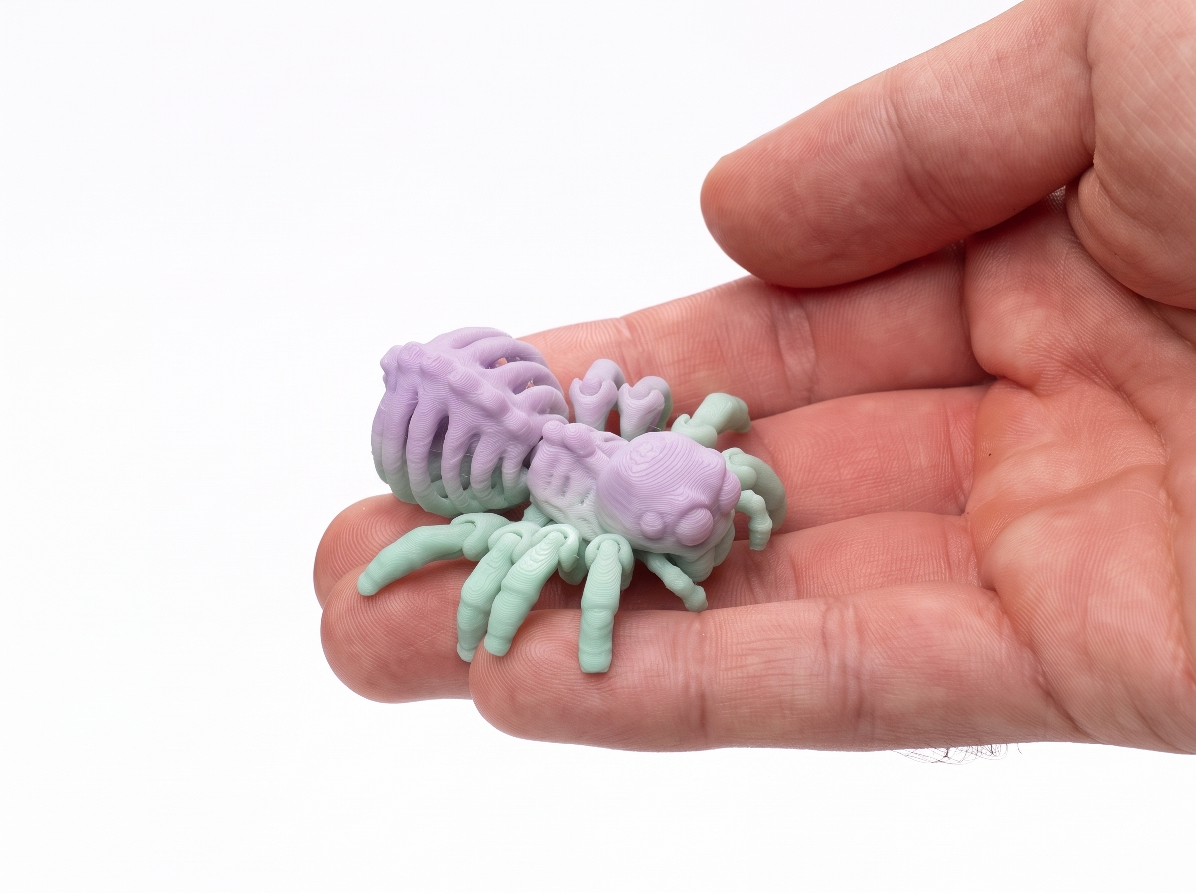 Skull Spider - Articulated & Keychain - 1