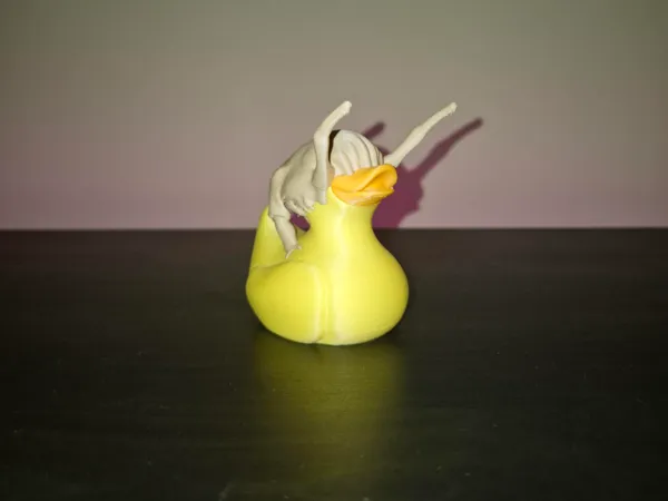 https://makerworld.bblmw.com/makerworld/model/UScdcfd6aaead106/design/2024-12-15_b3fd93daae38d.jpg