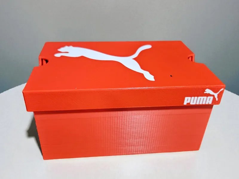 Puma Shoe Box 1 with hinge
