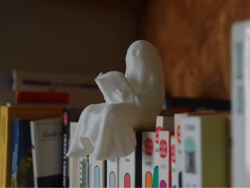 Ghost reading on the edge of a shelf
