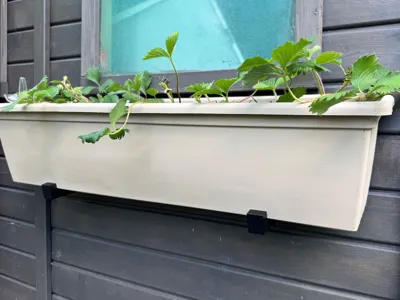 Flower Box Wall Mount Holder for 120 mm Bottom 