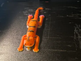Derpy orange cat