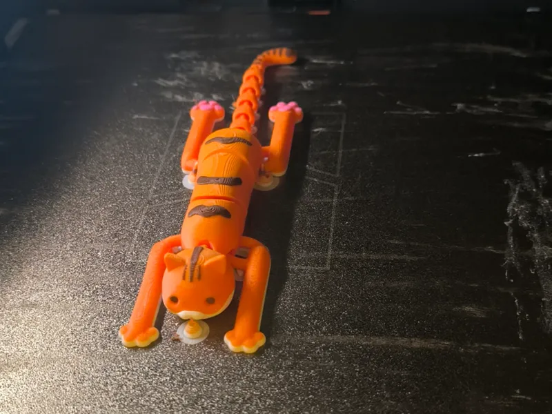 Derpy orange cat
