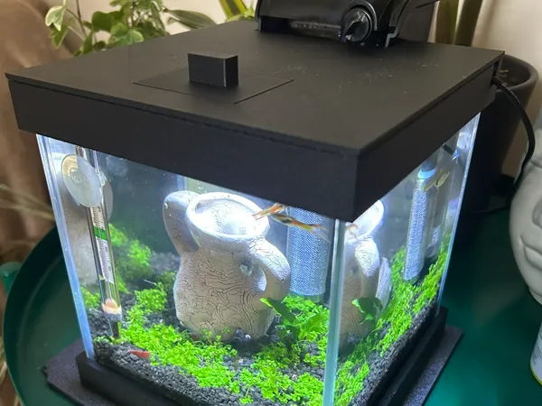 https://makerworld.bblmw.com/makerworld/model/UScdf1794ce1822b/design/2025-09-02_7ad7d062b601e8.jpeg