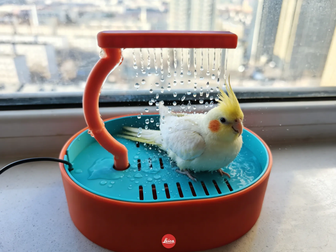 鹦鹉淋浴器
