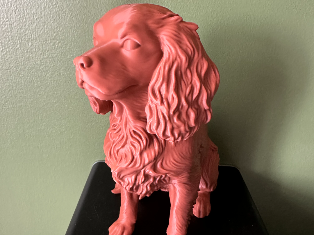 Figurine Cavalier King Charles (No AMS)