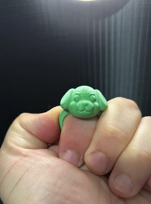https://makerworld.bblmw.com/makerworld/model/UScdf496e7e5e2b5/design/2024-12-13_796191ef599ae.jpg