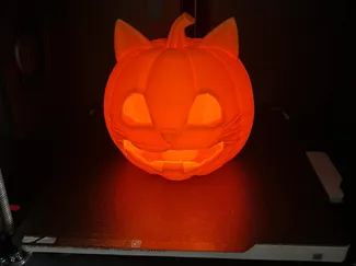 Halloween Kürbis Laterne Katze
