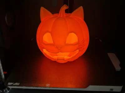 Halloween Pumpkin Lantern Cat