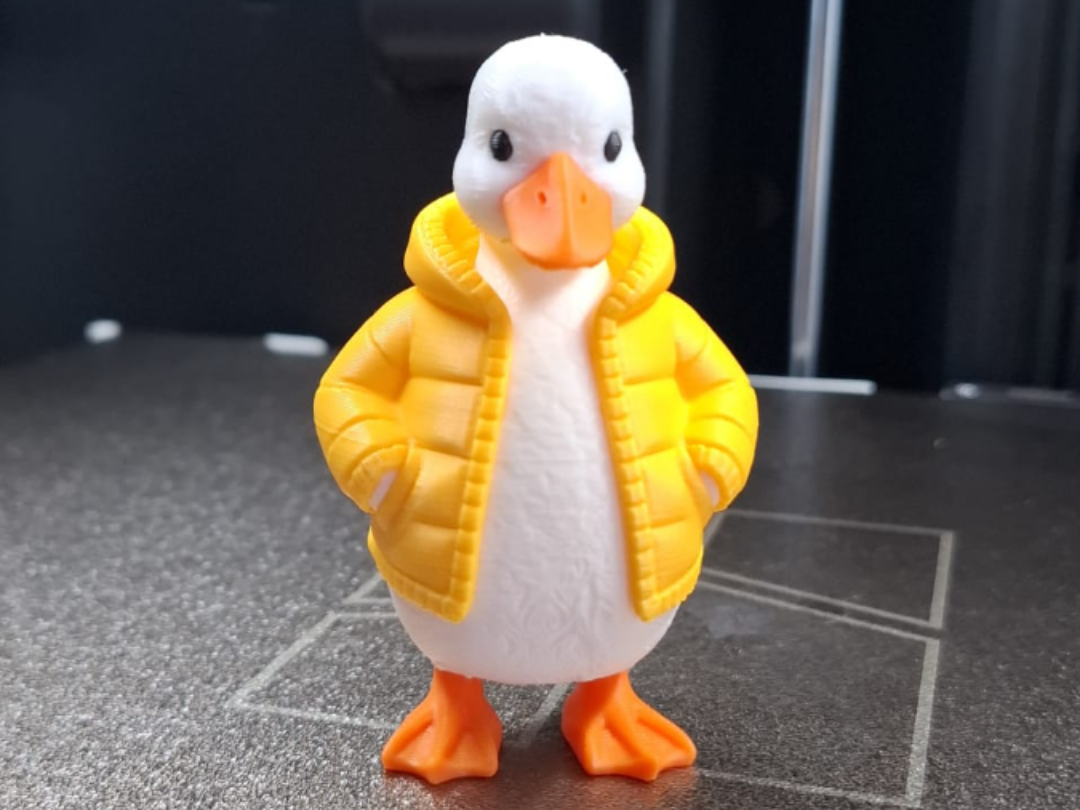 Puff Jacket Duckling