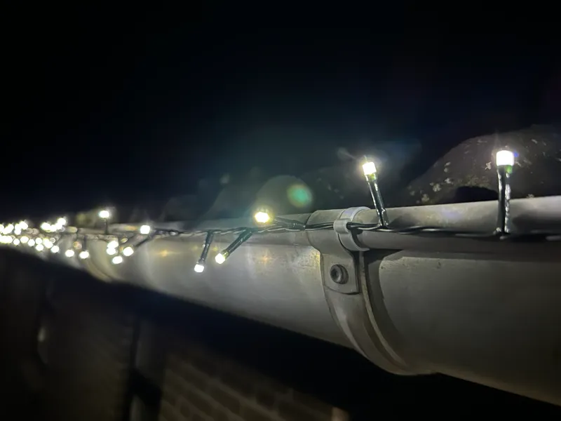 Christmas light clips
