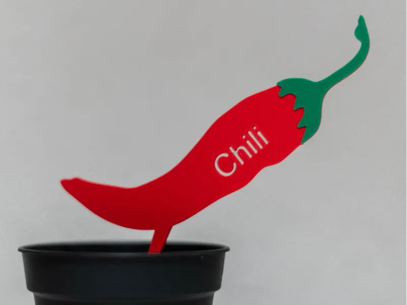 Pfanzschild Chili