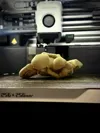 0.16mm layer, 2 walls, 5% infill