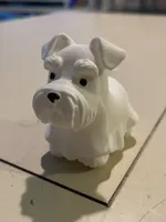 Tinoo le schnauzer fantôme — photo 9