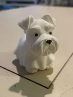 Tinoo le schnauzer fantôme — photo 10
