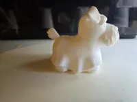 Tinoo le schnauzer fantôme — photo 3