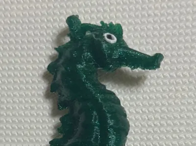 Seahorse
