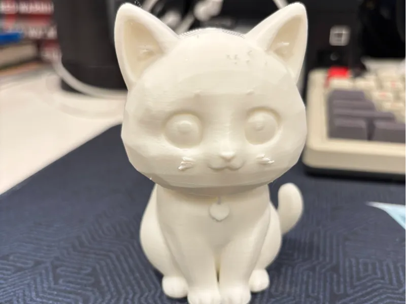 Black and white cat