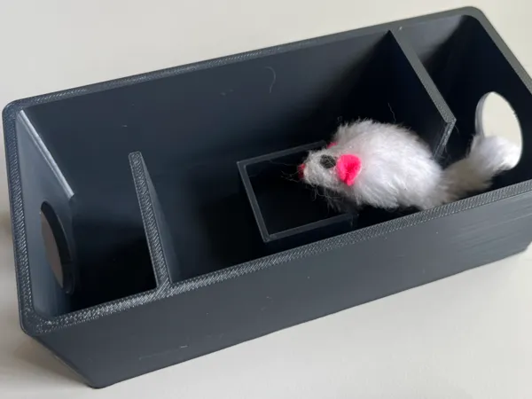 https://makerworld.bblmw.com/makerworld/model/USce1640b93513fc/design/2025-06-17_dd1c0030b6a528.jpg