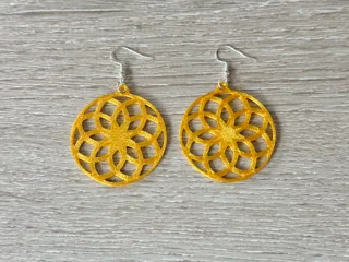 new circular earring