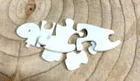 Puzzles dinosaures — photo 10