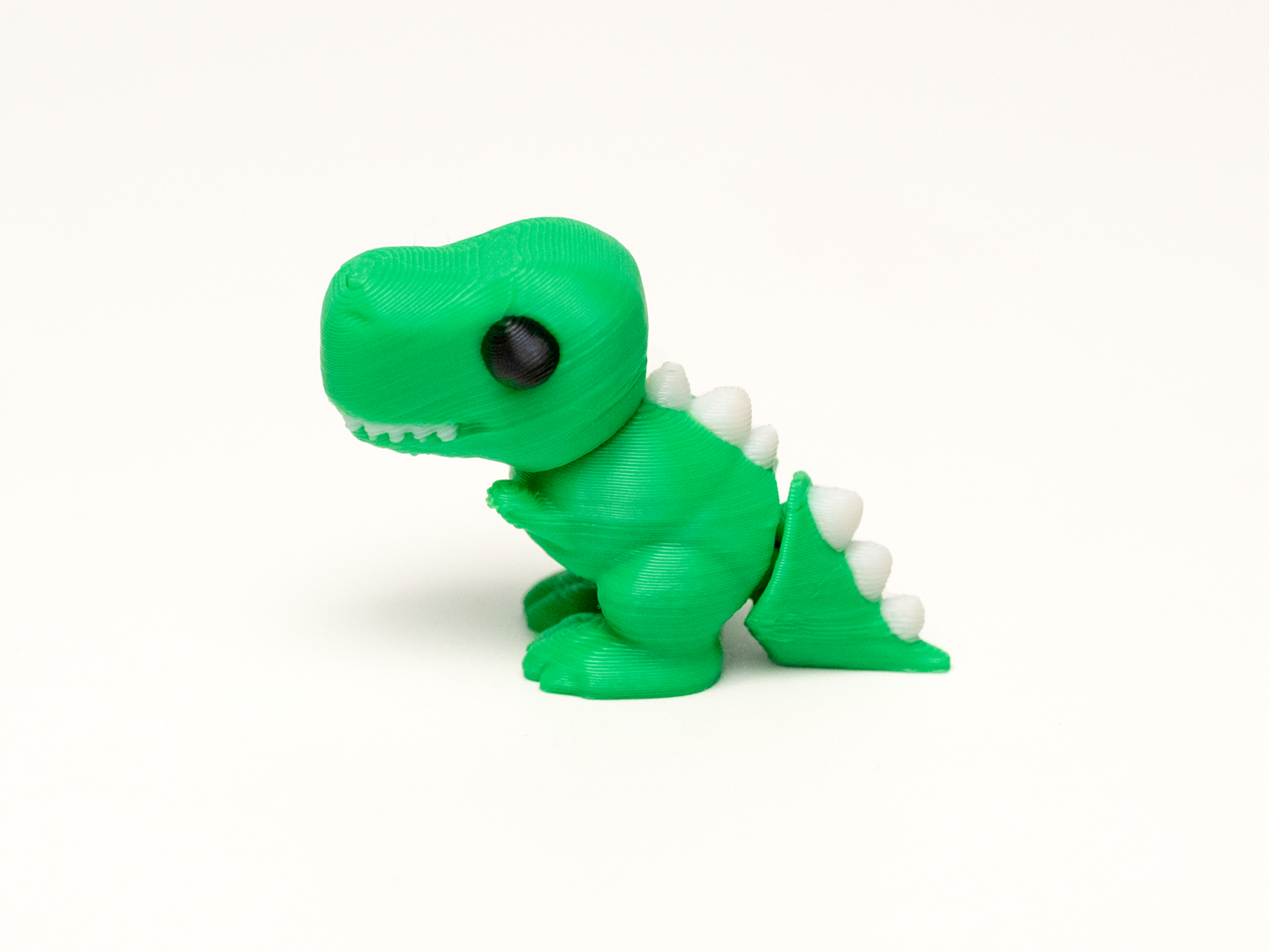 Mini Rex - 1