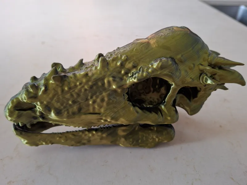 Pachycephalosaurus skull