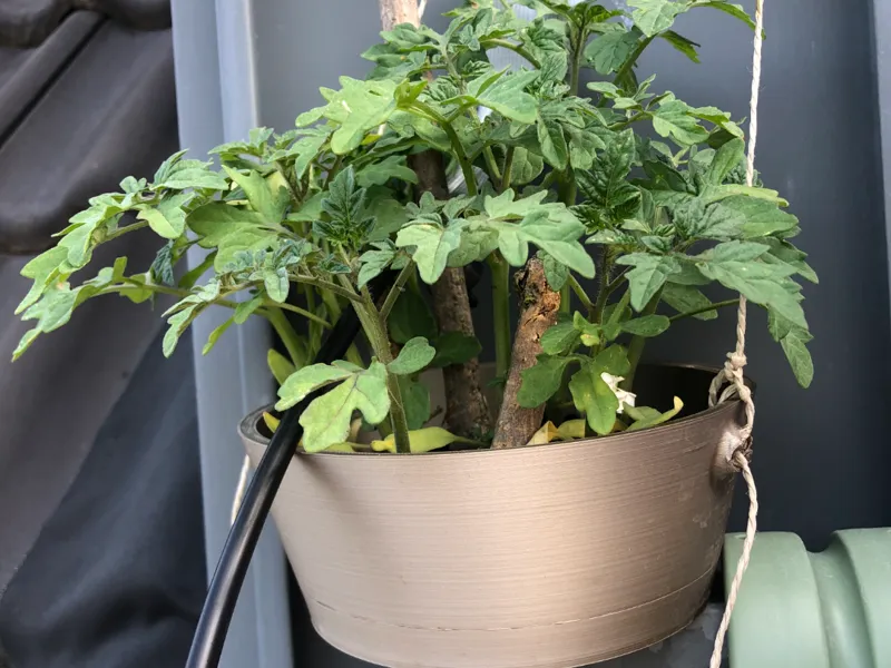 x4 Flower pots
