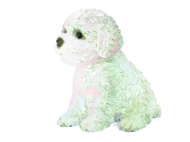 BichonFrise