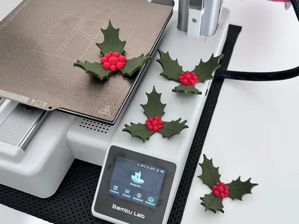 https://makerworld.bblmw.com/makerworld/model/USce2acd47990fbc/design/2025-11-22_949f71e06ac13.jpeg