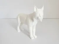 0.16mm layer, 2 walls, 10% infill