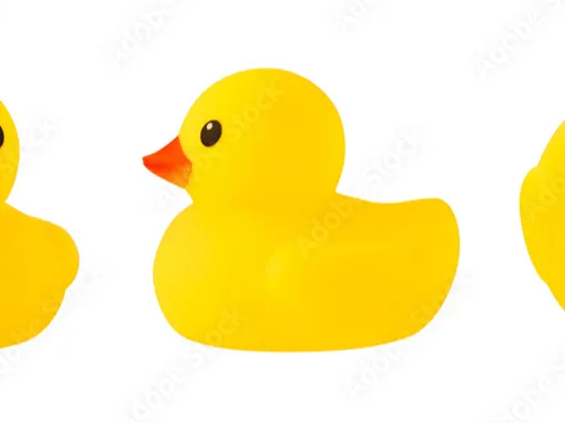 ducks (200)