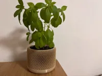 160X120 mm / 0.2mm layer, 3 walls, 15% infill