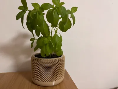 Minimalist Mesh Planter / Voronoi Flower Pot