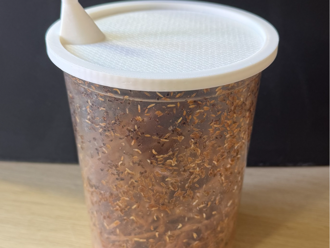 Flightless Fruit Fly Feeder/Deli Cup Lid - 1