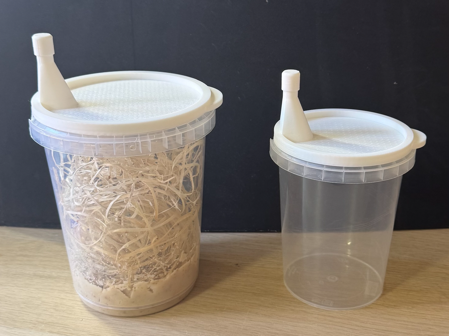Flightless Fruit Fly Feeder/Deli Cup Lid 3D model