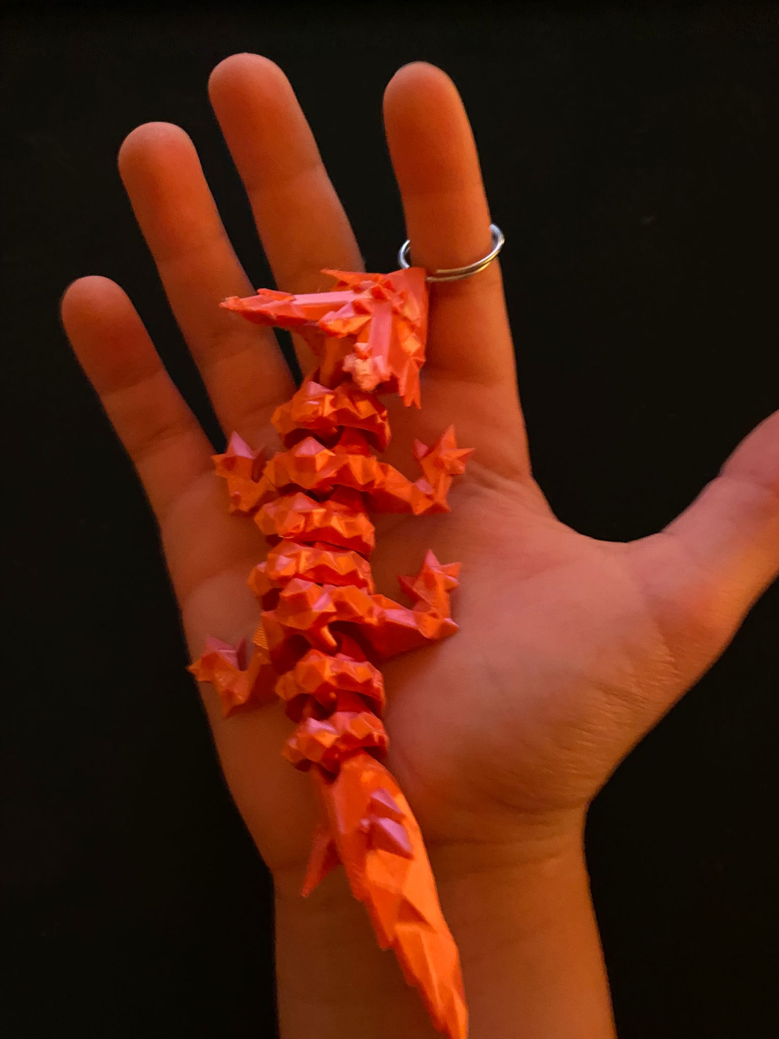 Articulations fixes