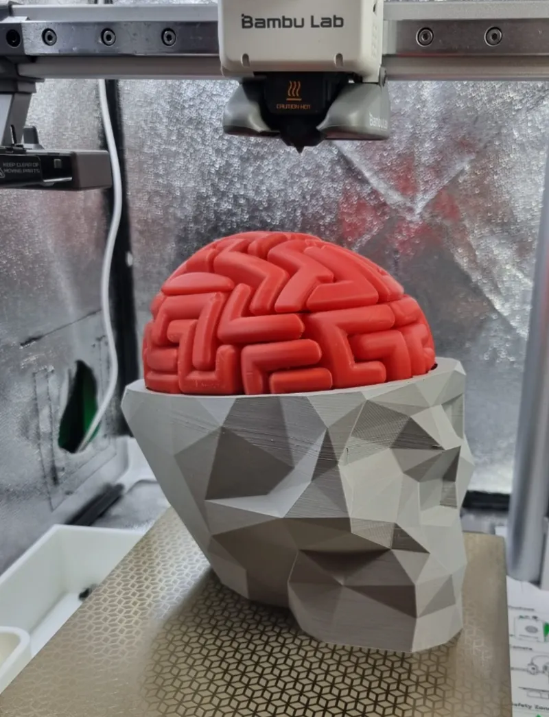 Dr. Brain Breaker Puzzle for A1 Mini