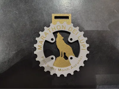 MTB Medal