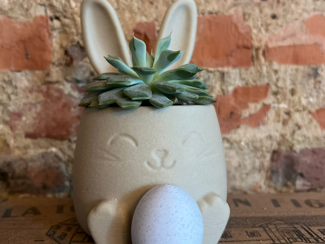 Bunny Succulent Planter | Kawaii Easter Decor